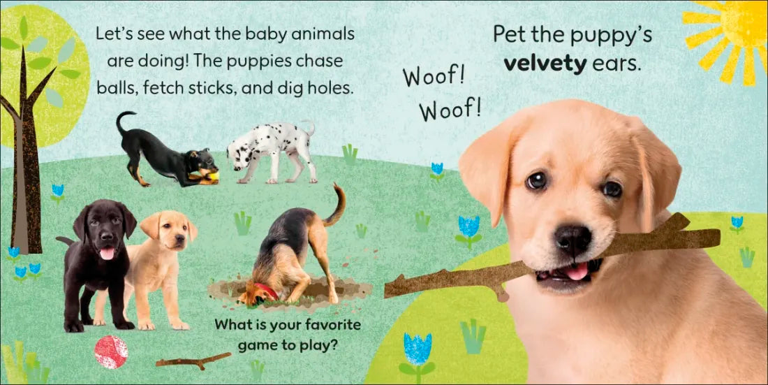 Touch and Feel Baby Animals US - Board book (9780593959152)