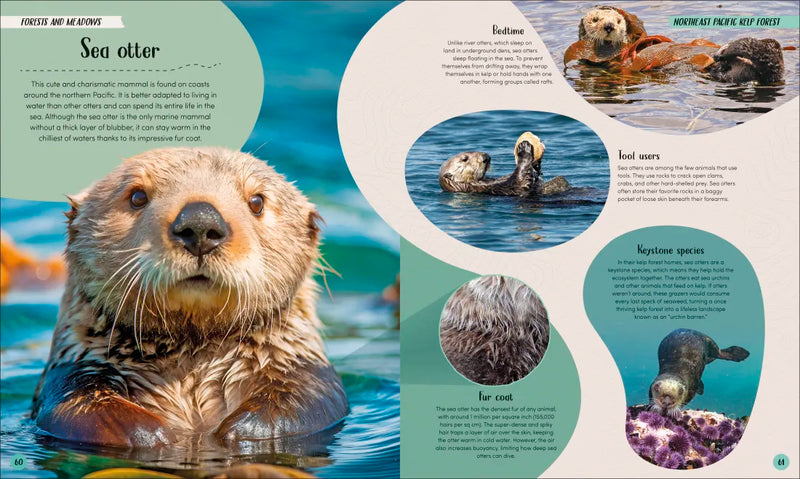 Ocean US - Hardback (9780593959237)