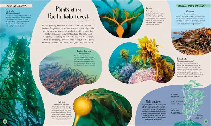 Ocean US - Hardback (9780593959237)