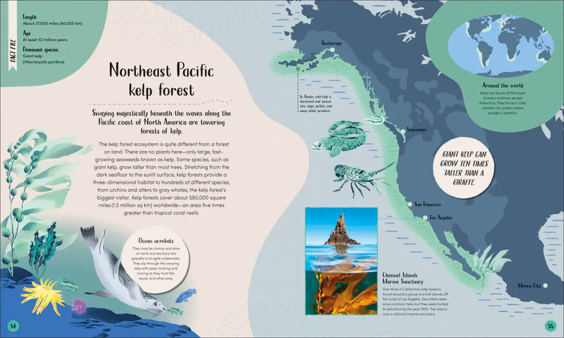 Ocean US - Hardback (9780593959237)