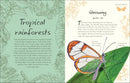 An Anthology of Butterflies and Moths US - Hardback
