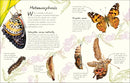 An Anthology of Butterflies and Moths US - Hardback