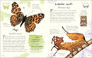 An Anthology of Butterflies and Moths US - Hardback