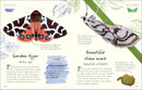 An Anthology of Butterflies and Moths US - Hardback