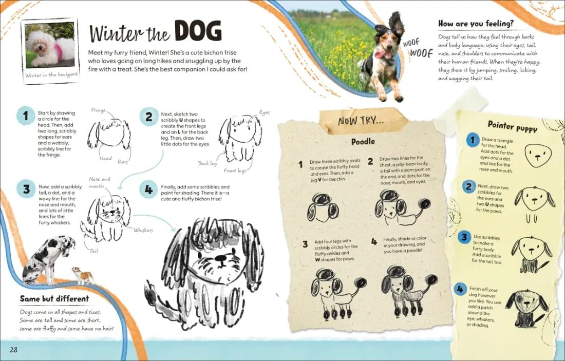 Draw Along Animals US - Paperback / softback