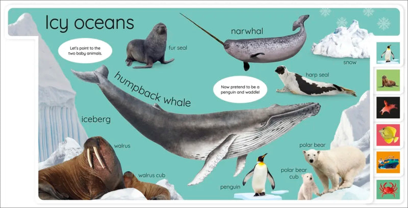 My First Ocean: Letâ€™s Dive In and Explore! US - Board book