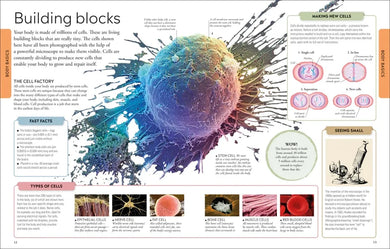 Human Body A Visual Encyclopedia US - Paperback / softback