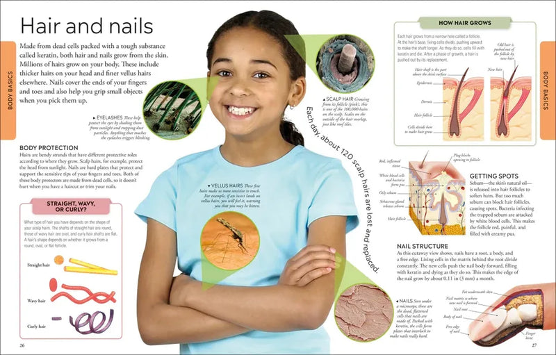 Human Body A Visual Encyclopedia US - Paperback / softback