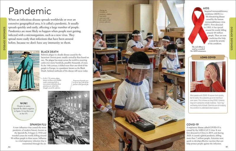 Human Body A Visual Encyclopedia US - Paperback / softback