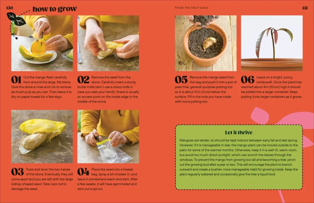 Grow Your Groceries US - Hardback