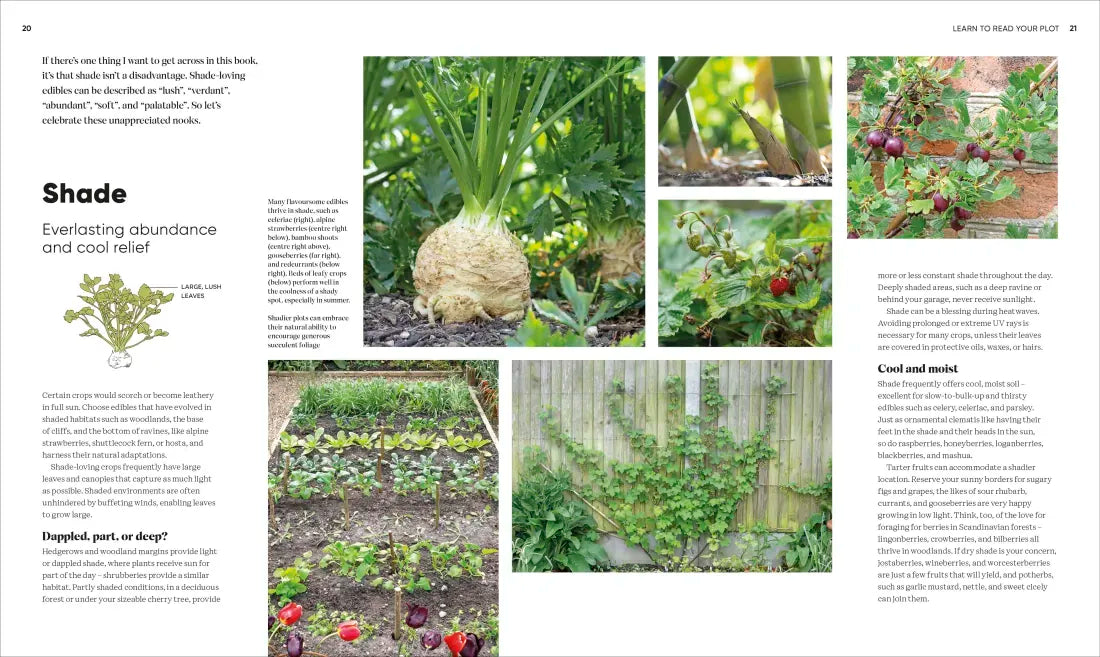 Grow Food Anywhere US - Hardback
