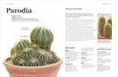 Cacti and Succulents US - Hardback