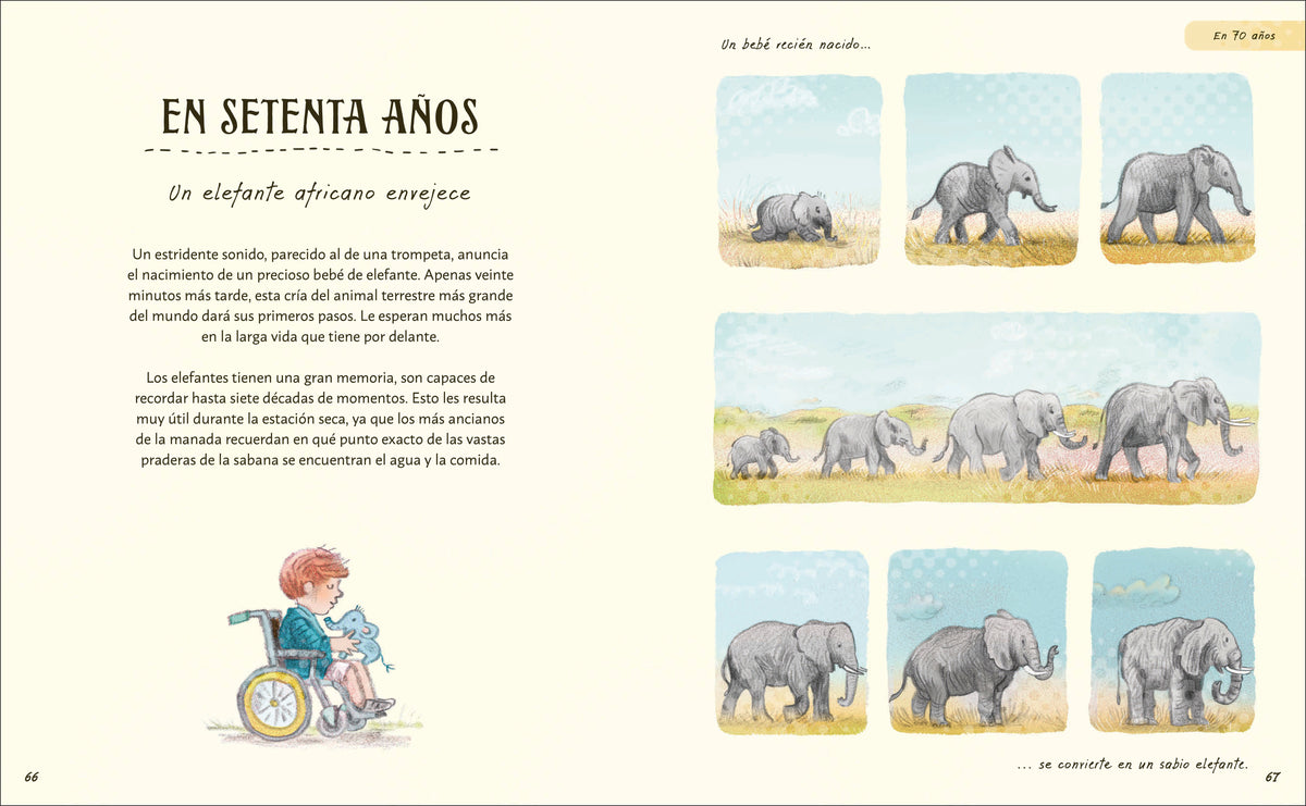 Paciencia interior 3 (ISBN 9780593961612)