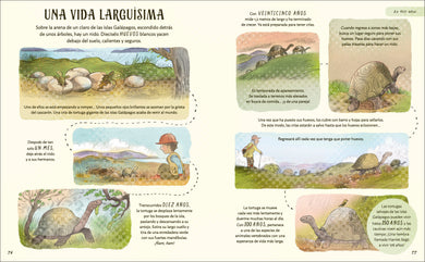 Paciencia interior 5 (ISBN 9780593961612)