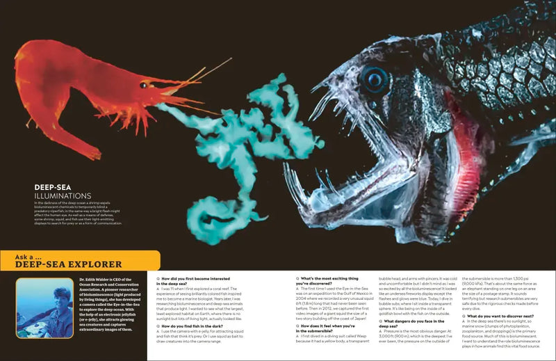 Eyewitness Encyclopedia of Animals US - Hardback