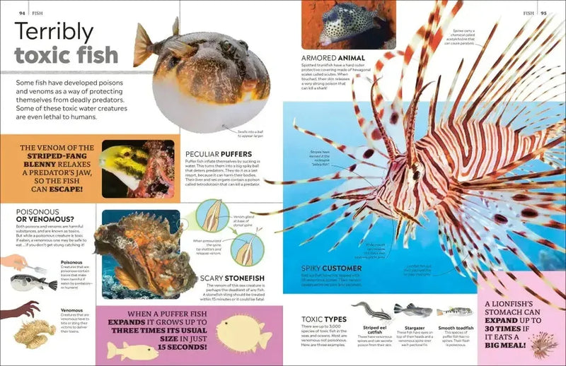 Eyewitness Encyclopedia of Animals US - Hardback