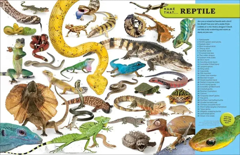 Eyewitness Encyclopedia of Animals US - Hardback