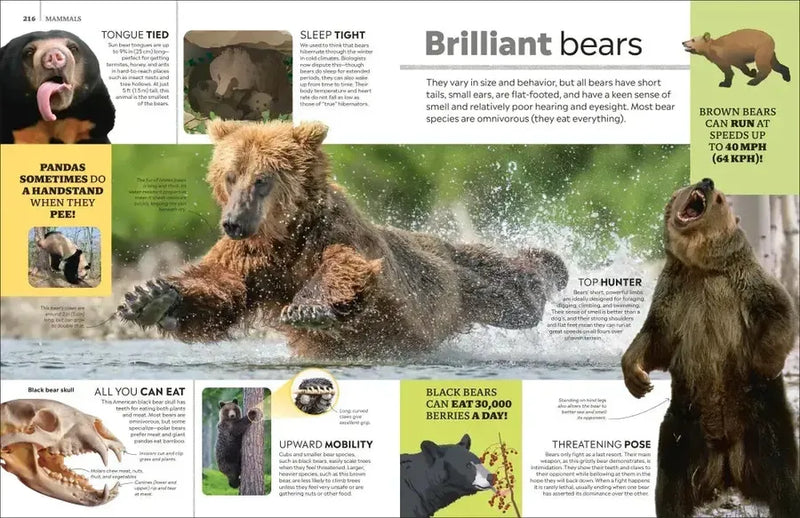 Eyewitness Encyclopedia of Animals US - Hardback