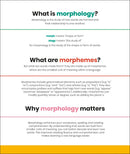 DK SUPER Where Words Come From Morpheme-a-Day US - Hardback