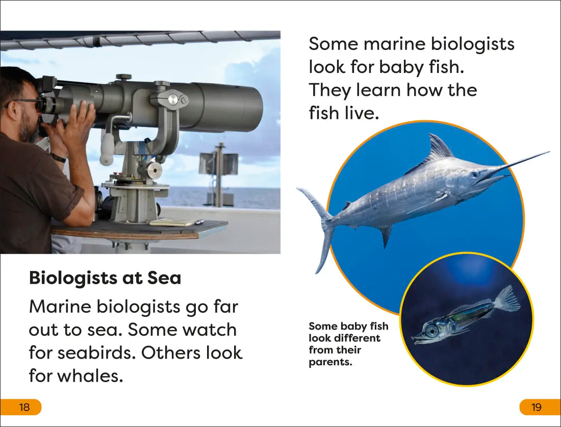 DK Super Readers Level 1 A Day in the Life of a Marine Biologist US - Hardback