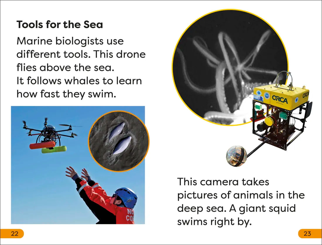 DK Super Readers Level 1 A Day in the Life of a Marine Biologist US - Hardback