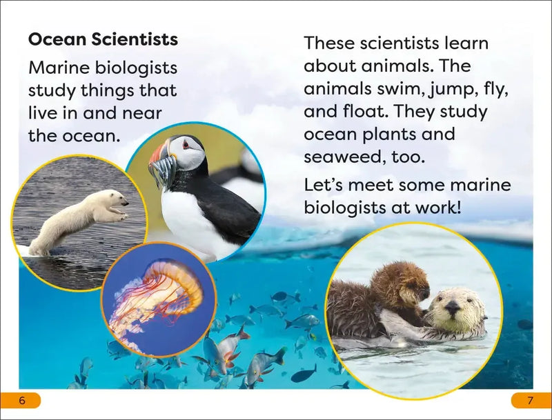 DK Super Readers Level 1 A Day in the Life of a Marine Biologist US - Hardback