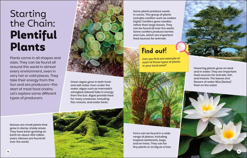 DK Super Planet Whoâ€™s Eating Who? US - Paperback / softback