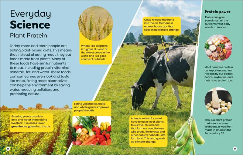 DK Super Planet Whoâ€™s Eating Who? US - Paperback / softback