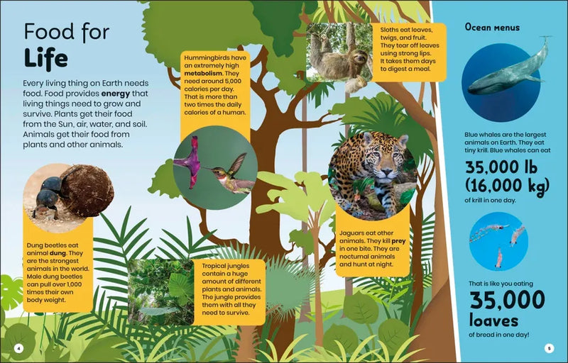 DK Super Planet Whoâ€™s Eating Who? US - Paperback / softback