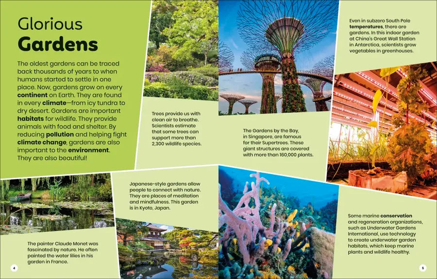 DK Super Planet Global Gardens US - Hardback