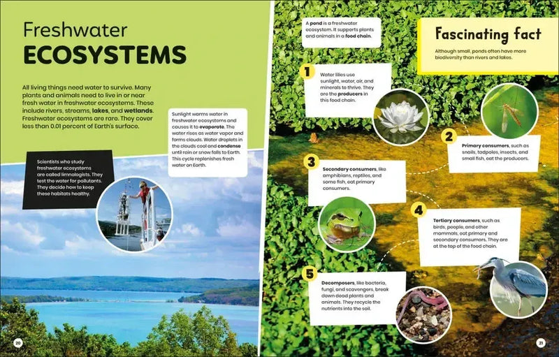 DK Super Planet Essential Ecosystems US - Hardback