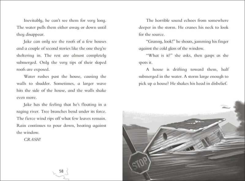 Against the Odds: Hurricane Katrina US - Paperback / softback