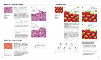 Ganchillo paso a paso (Crochet Stitches Step-by-Step) interior 4 (ISBN 9780593963029)