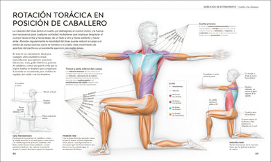 Estiramientos (Science of Stretch) interior 3 (ISBN 9780593963036)