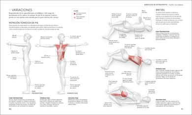 Estiramientos (Science of Stretch) interior 4 (ISBN 9780593963036)