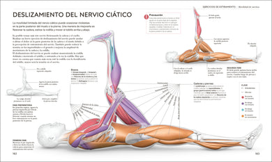Estiramientos (Science of Stretch) interior 5 (ISBN 9780593963036)