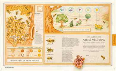 ¡Explora! (Explore) interior 4 (ISBN 9780593963081)
