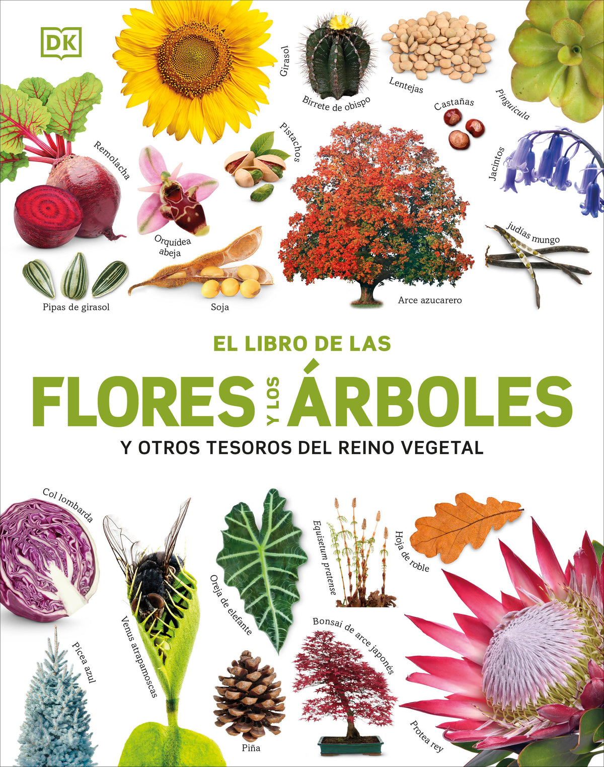 El Libro de las flores y los árboles (Our World in Pictures: Trees, Leaves, Flowers & Seeds) cover (ISBN 9780593963166)