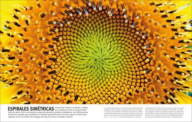 El Libro de las flores y los árboles (Our World in Pictures: Trees, Leaves, Flowers & Seeds) interior 1 (ISBN 9780593963166)