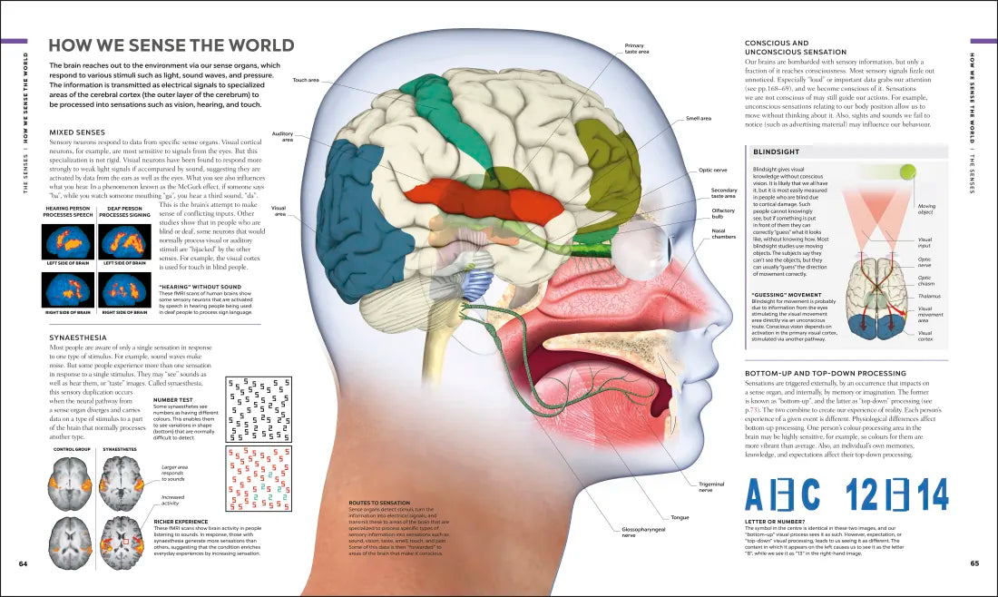 The Human Brain Book US - Hardback