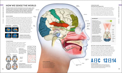 The Human Brain Book US - Hardback