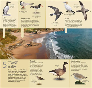 What's that Bird? US - Paperback / softback
