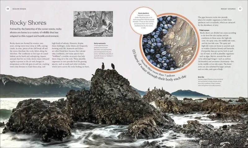 The Ocean Book US - Hardback