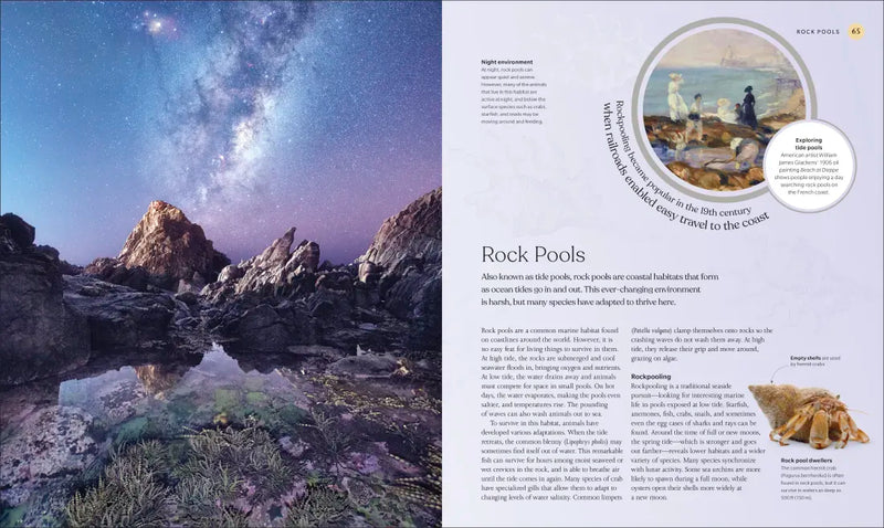 The Ocean Book US - Hardback