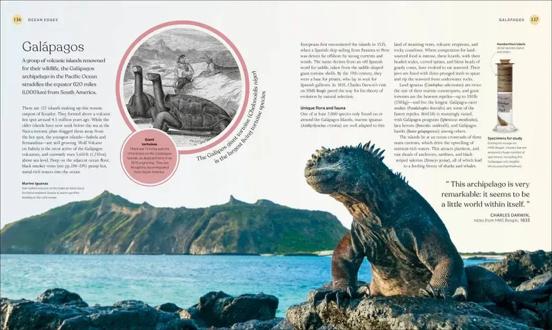 The Ocean Book US - Hardback