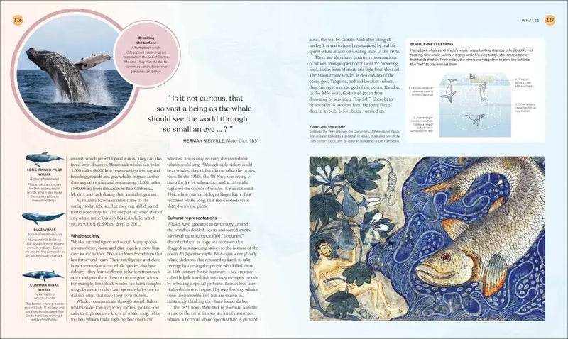 The Ocean Book US - Hardback