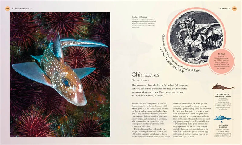 The Ocean Book US - Hardback