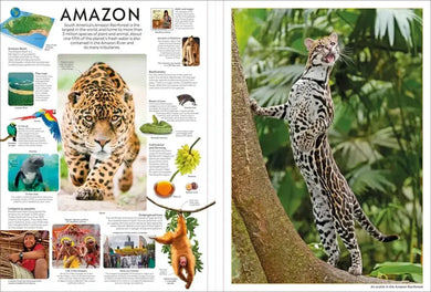 Eyewitness Encyclopedia Poster Book US - Paperback / softback