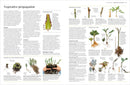 Propagating Plants US - Hardback