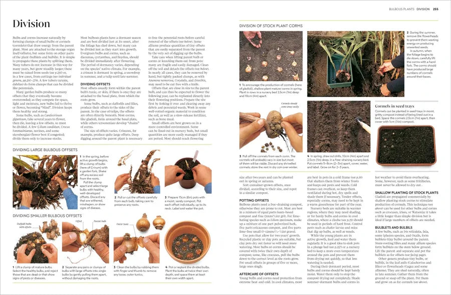 Propagating Plants US - Hardback